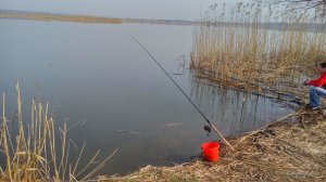 ^2D7FF346DA7836507137BBF304DBF8AD71FA12BA5D7416C7BF^pimgpsh_fullsize_distr.jpg
