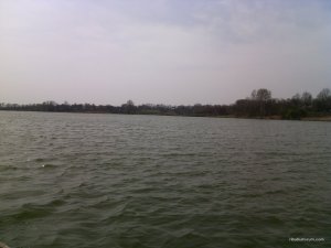 IMG_20160409_122127.jpg