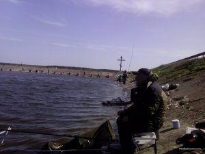 IMG_20160410_112745.jpg