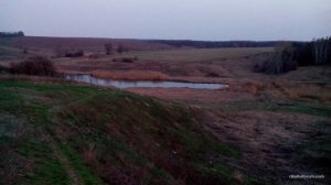 IMG_20160409_193028.jpg