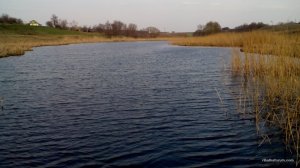 IMG_20160409_171802.jpg