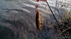 IMG_20160409_171125.jpg