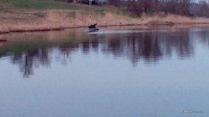 IMG_20160409_191519.jpg