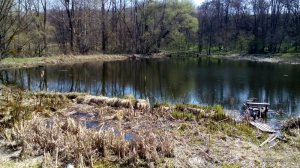 IMG_20160410_112338.jpg