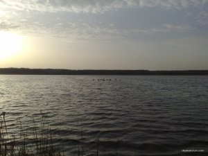 10042016328.jpg