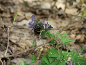 IMG_7846.JPG