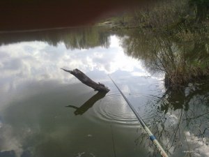 110420161192.jpg