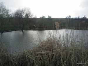20160411_172743.jpg