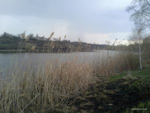20160411_172751.jpg