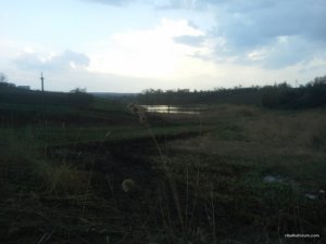 20160411_172905.jpg