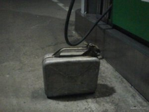 Foto0003.jpg