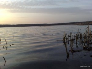 10042016323.jpg