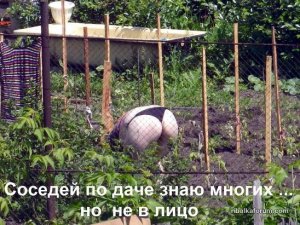 image-14.jpg