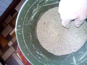 DSC_0382[1].jpg