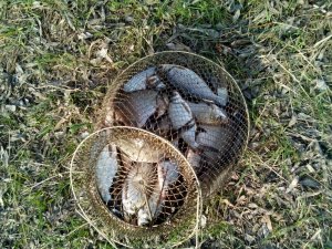 DSC_0393[1].jpg