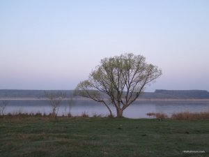IMG_7966.JPG