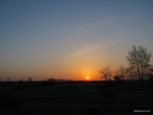 IMG_7971.JPG