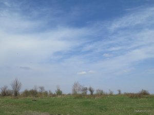 IMG_7993.JPG