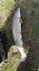 20160413_124504.jpg