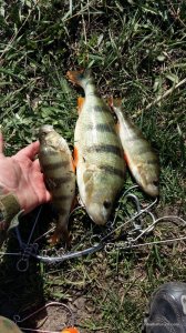 20160413_134612.jpg
