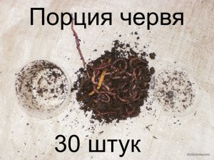001.JPG
