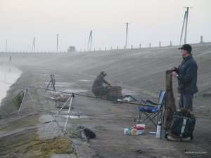 IMG_7805.JPG
