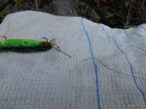 DSCN1422.JPG
