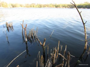IMG_2319.JPG