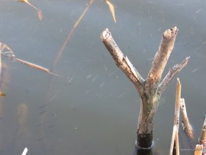 IMG_2315.JPG