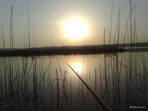 13042016364.jpg