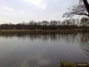 13042016386.jpg