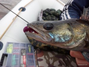 IMG_20160417_073802.jpg