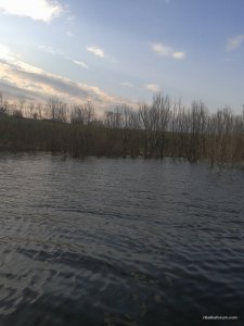 2016-04-17 17.40.08.jpg