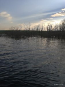 2016-04-17 17.40.48.jpg