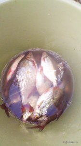 IMG_20160417_171046.jpg
