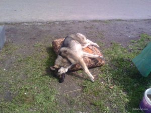 IMG_20160417_113726.jpg