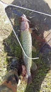 20160417_131506.jpg