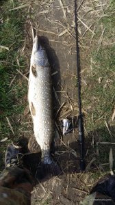 20160417_140345.jpg