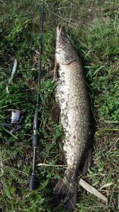 20160417_144152.jpg