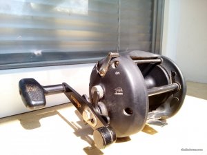 IMG_20160421_130047.jpg