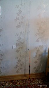 IMG_20160421_165549.jpg