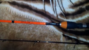 IMG_20160421_165850.jpg