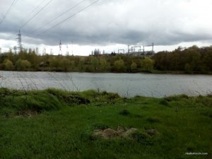 IMG_20160421_150037.jpg