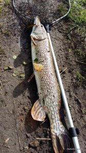 20160422_084634.jpg