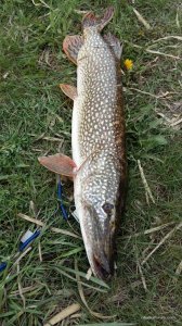 20160422_133132.jpg