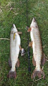 20160422_161041.jpg