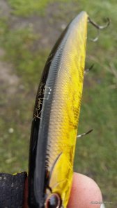 20160422_154345.jpg