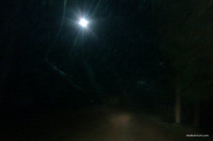IMAG0565.jpg