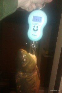 IMAG0579.jpg