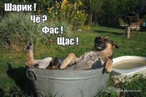 getImage-7.jpg
